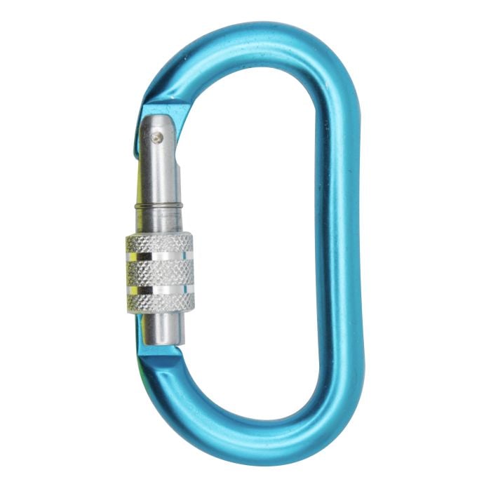 Clearance Locking Carabiner Teal