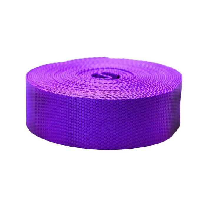 2 Inch Flat Nylon Purple