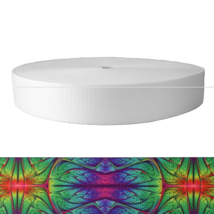 2 Inch Picture Quality Polyester Webbing Alien Skin