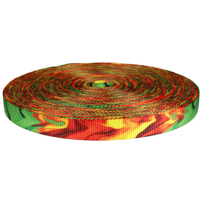 1 Inch Utility Polyester Webbing Wicked Rasta