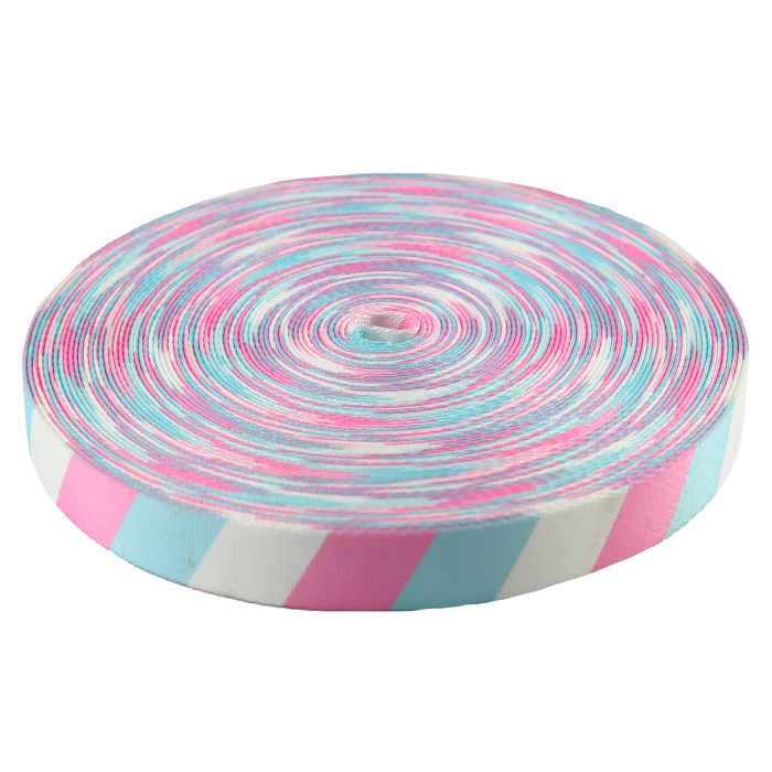 1 Inch Picture Quality Polyester Webbing Trans Pride Stripes