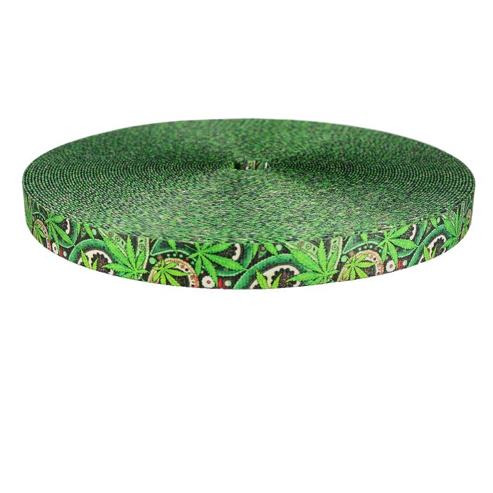3/4 Inch Picture Quality Polyester Webbing Nu Canna Green Paisley