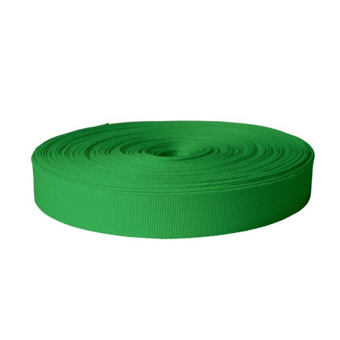 1 Inch Polyester Ribbon Green