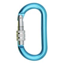 Clearance Locking Carabiner Teal