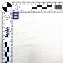 3/8 Inch Clearance Plastic Slide Purple