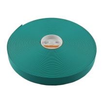 1 Inch BioThane Beta 520 Adjustable Teal