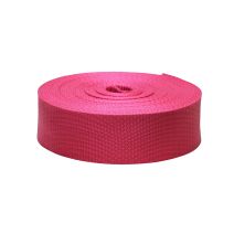 2 Inch Flat Nylon Raspberry