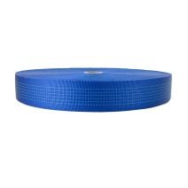 2 Inch Tubular Nylon Blue