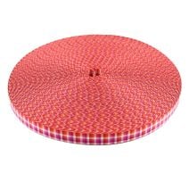 3/4 Inch Picture Quality Polyester Webbing Lesbian Pride Plaid