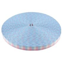 3/4 Inch Picture Quality Polyester Webbing Trans Pride Plaid