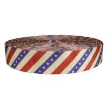 2 Inch Utility Polyester Webbing Patriot
