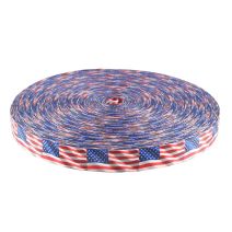 1 Inch Picture Quality Polyester Webbing Waving Flags