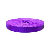 1 Inch Flat Nylon Purple