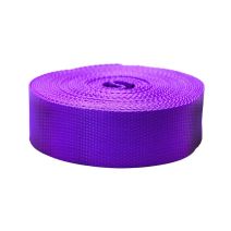 2 Inch Flat Nylon Purple