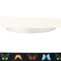 1 Inch Tubular Polyester Butterflies