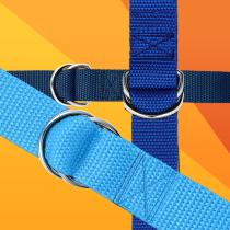 Category Double Ring Belts image